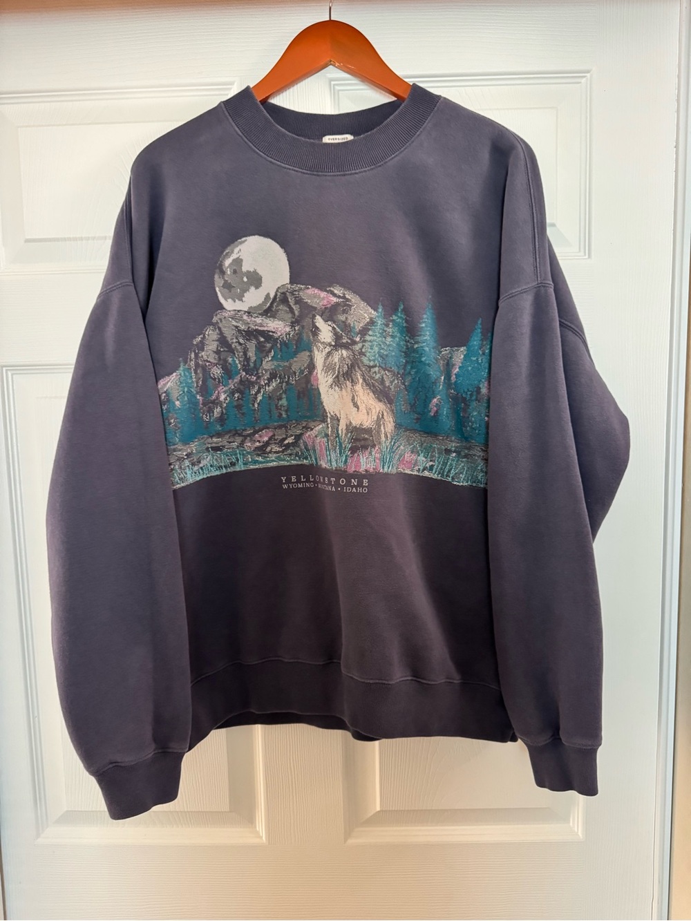 Abercrombie & Fitch Slate Gray Yellowstone Wolf Crewneck